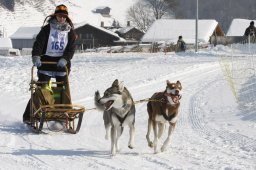 Lenk 2012 SM